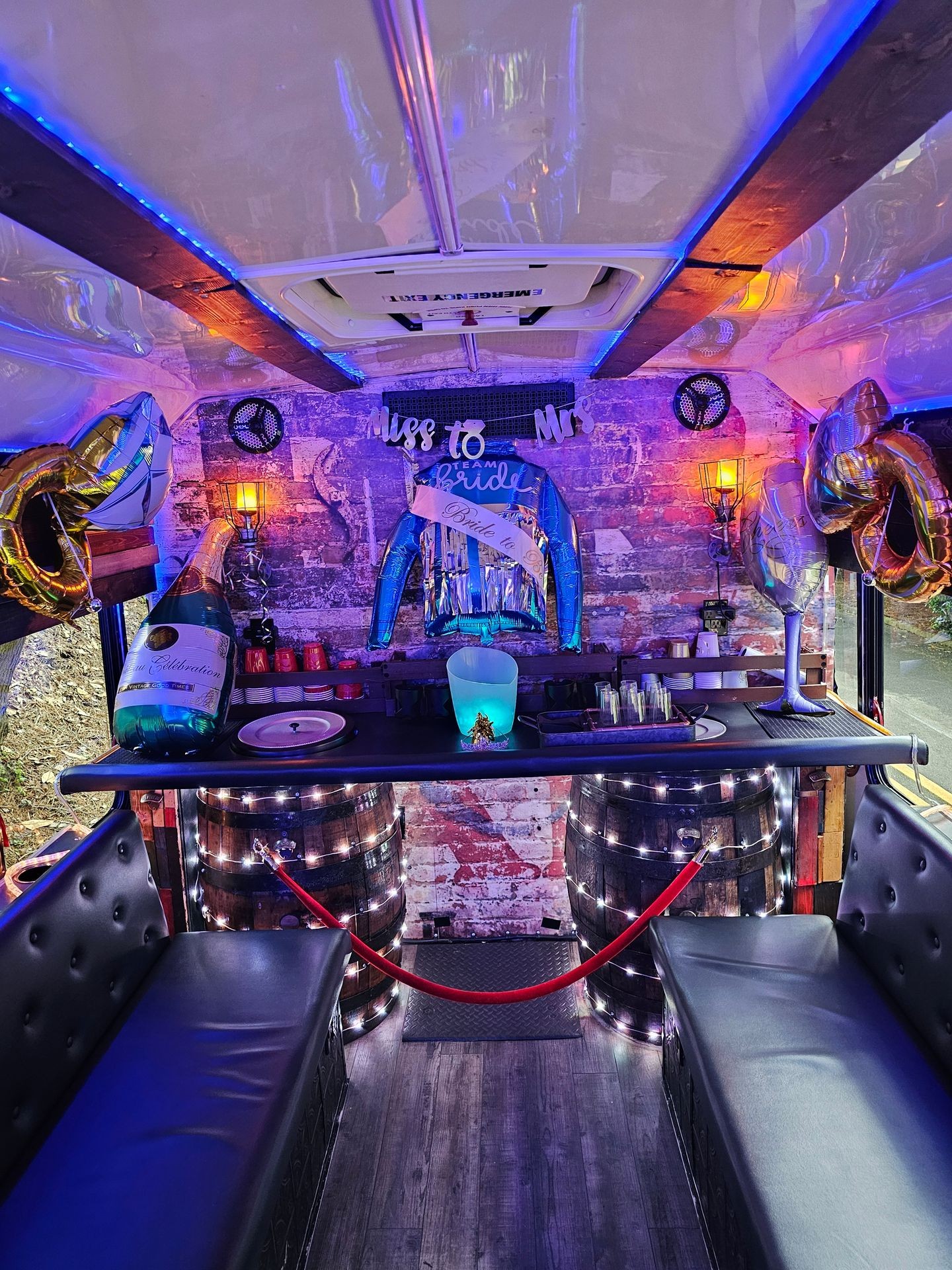 Bachelor/Bachelorette Bash Rides
