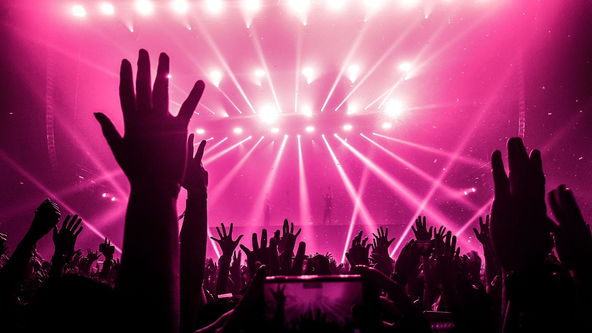 Crowd During Music Concert